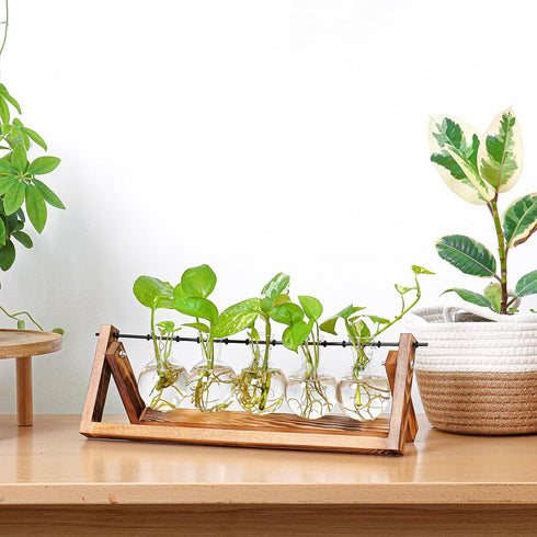 Glass Planter Bulb Vase with Retro Solid Wooden Stand and Metal Swivel Holder for Hydroponics Plants